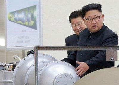 آژانس از فعالیت اتمی کره شمالی اطلاع داد