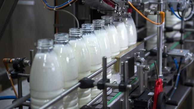 صادرات شیر ایران به دلیل استاندارد بالا در جریان است