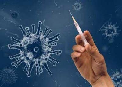 واکسن های کرونا علیه سویه های این ویروس به شدت موثرند