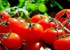 افت قیمت گوجه فرنگی در فصل برداشت، کشاورزان منتظر حمایت دولت هستند